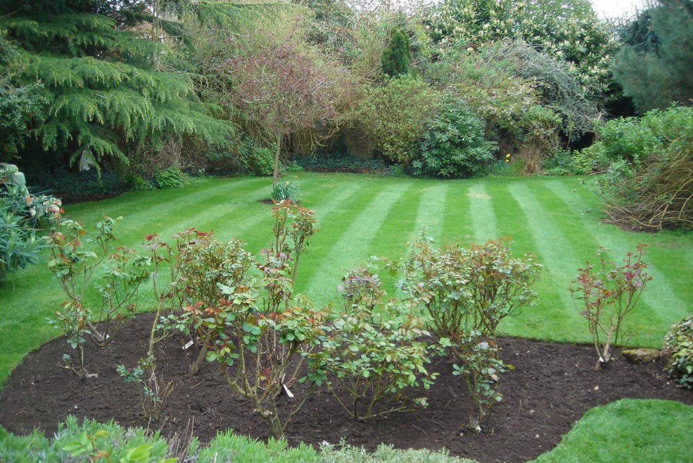 Garden Maintenance Services Wolverhampton