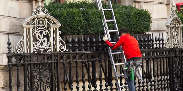 window cleaners ladders